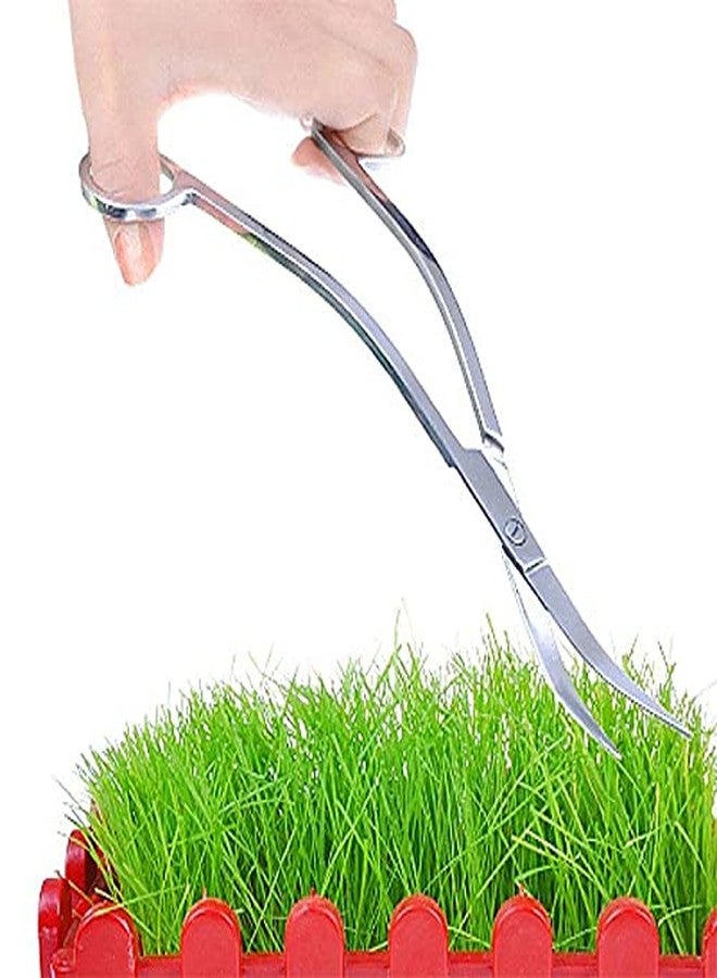 VAYINATO PetzLifeworld Planted Aquarium Aquascaping Stainless Steel Tools 27CM (Curved Wave Scissors) - Image 1